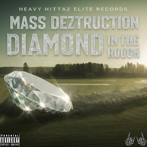 Diamond In The Rough