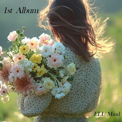 ELUMind 1st Album " The Beginning"