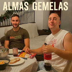Almas gemelas