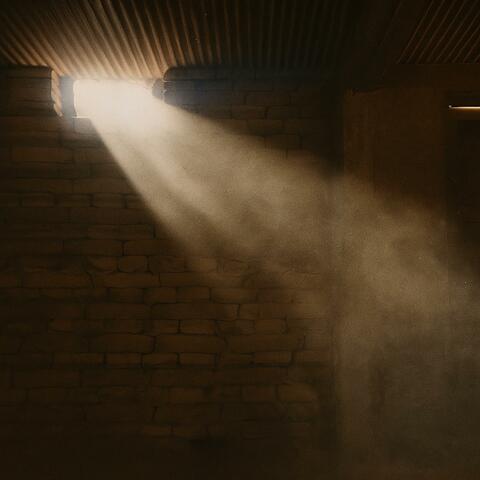 Dust & Light