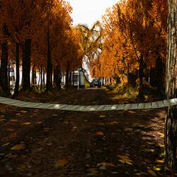 Sunrise over Giano Skies