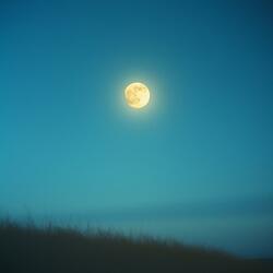 달빛이 비추는 밤