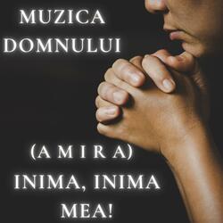 Inima, inima mea! (feat. Amira)