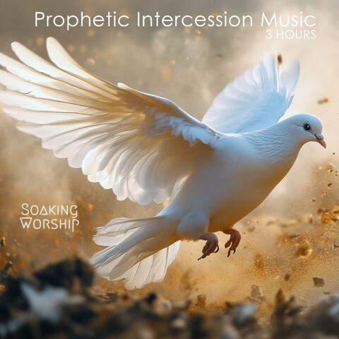 3 Hours Instrumental Soaking Worship, Prophetic Intercession Music for Prayer & Meditation