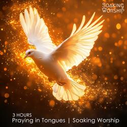 3 Hours Praying in Tongues, Soaking Worship & Prophetic Music for Intercession & Prayer
