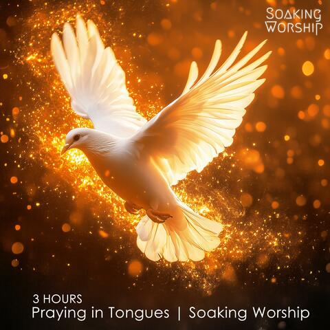 3 Hours Praying in Tongues, Soaking Worship & Prophetic Music for Intercession & Prayer