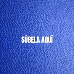 Súbela Aquí (feat. El Topo Mc) (Special Version)