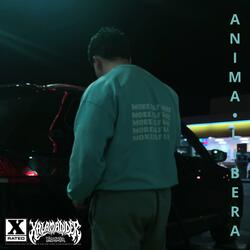 ANIMA LIBERA (Hardstyle Remix)