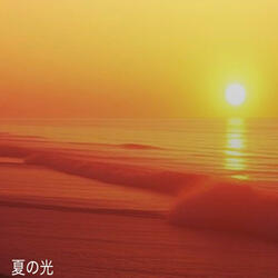 夏の光