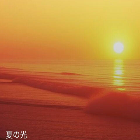 夏の光