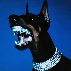 Honestly, I'm a danger to myself (Cinematic Intro x Trap Beat)