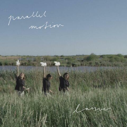 Parallel Motion
