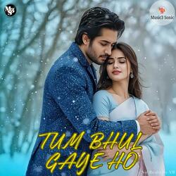 Tum Bhul Gaye Ho