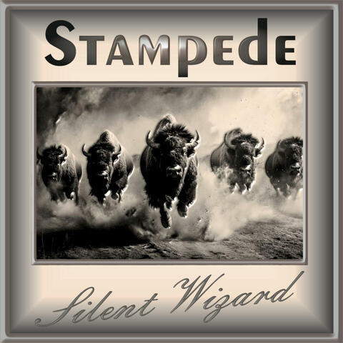 Stampede