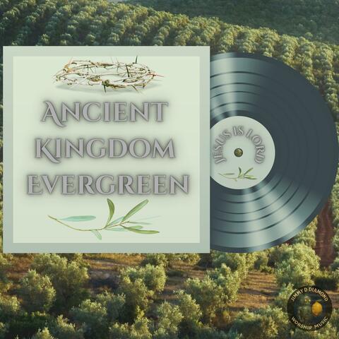 Ancient Kingdom Evergreen