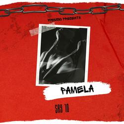PAMELA / SAY10