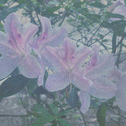 Waste some time  (feat. Va Avanti)