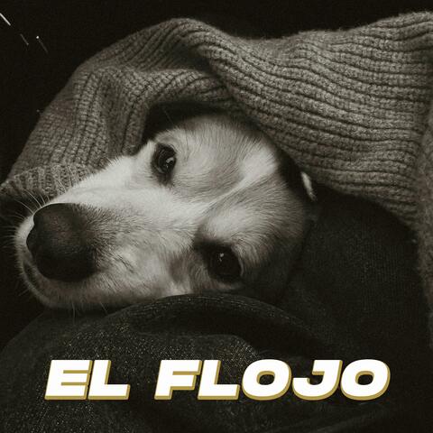 El Flojo