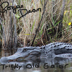 Tricky Old Gator