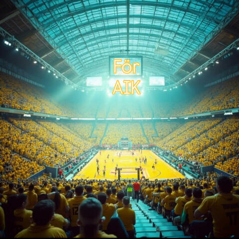 För AIK Handboll