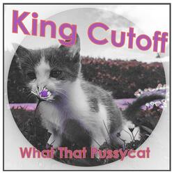 What That Pussycat