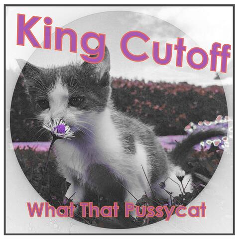 What That Pussycat
