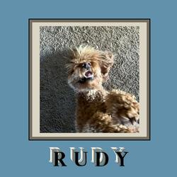 Fudgie