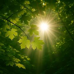 Stand in the Light