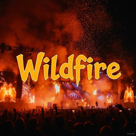 Wildfire