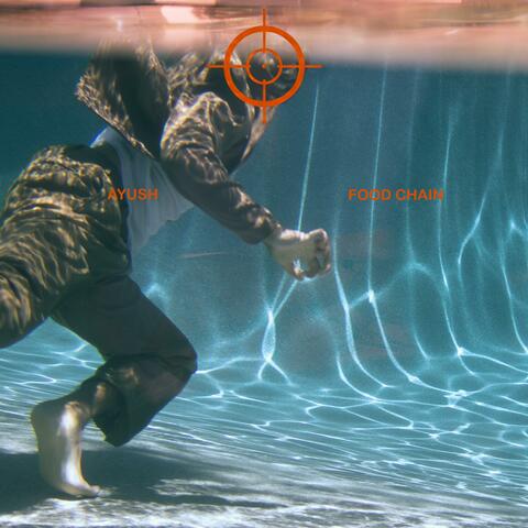 food chain