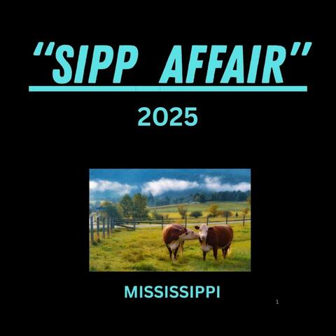 SIPP AFFAIR