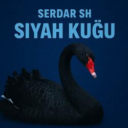 Siyah Kuğu