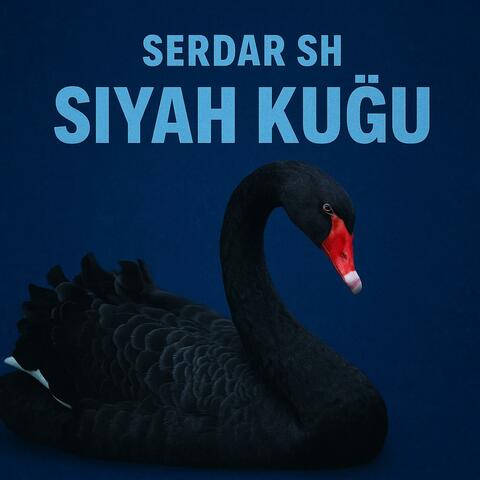 Siyah Kuğu