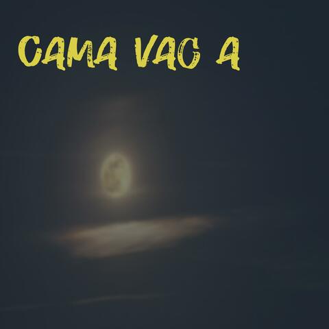 Cama Vacía