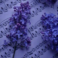 My last morning here