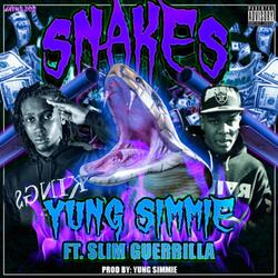 Snakes
