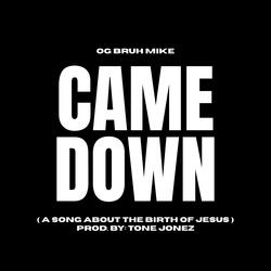 Came Down