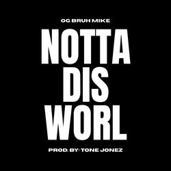 Nottadisworl