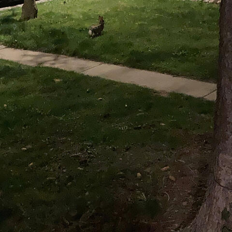 In our bags (Ft Lil Tism)