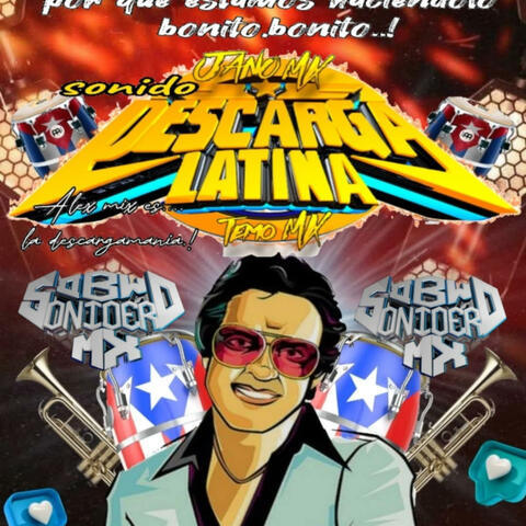 LOS PERROS DEL CURRO GUARACHA LIMPIA