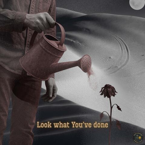 Look what You've done