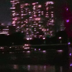 too soon alt. vers + rap