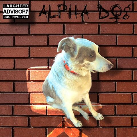 Alpha dog