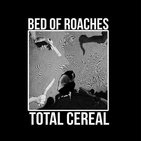 split with bed of roaches