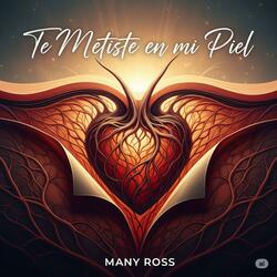 Te Metiste en Mi Piel (Lyric Video Oficial | Bachata 2025)