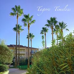 Timeless (Fire Version)