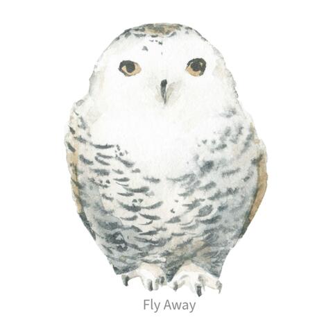 fly away