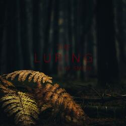 The Luring