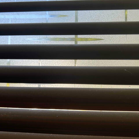 August Listening to Beck