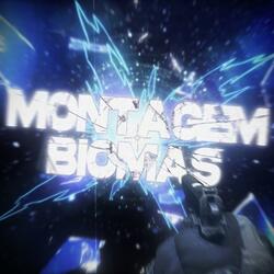 Montagem Biomas - SpedUp